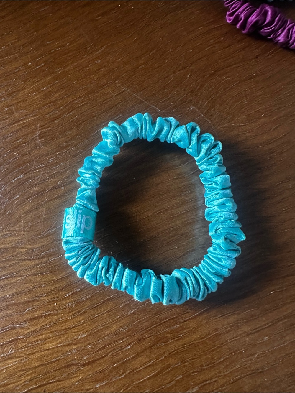 Slip silk hair tie light teal